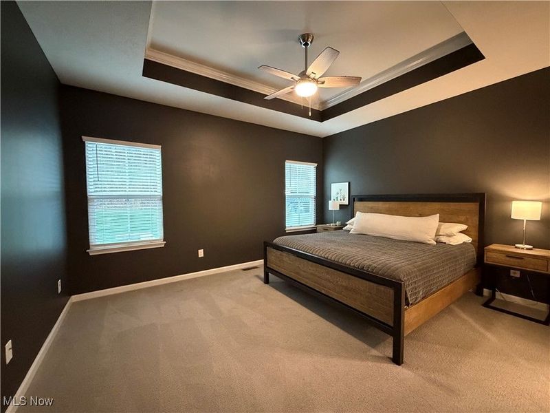 732 Buckeye Drive, Akron, OH 44303 Photo 21