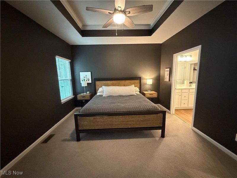 732 Buckeye Drive, Akron, OH 44303 Photo 22