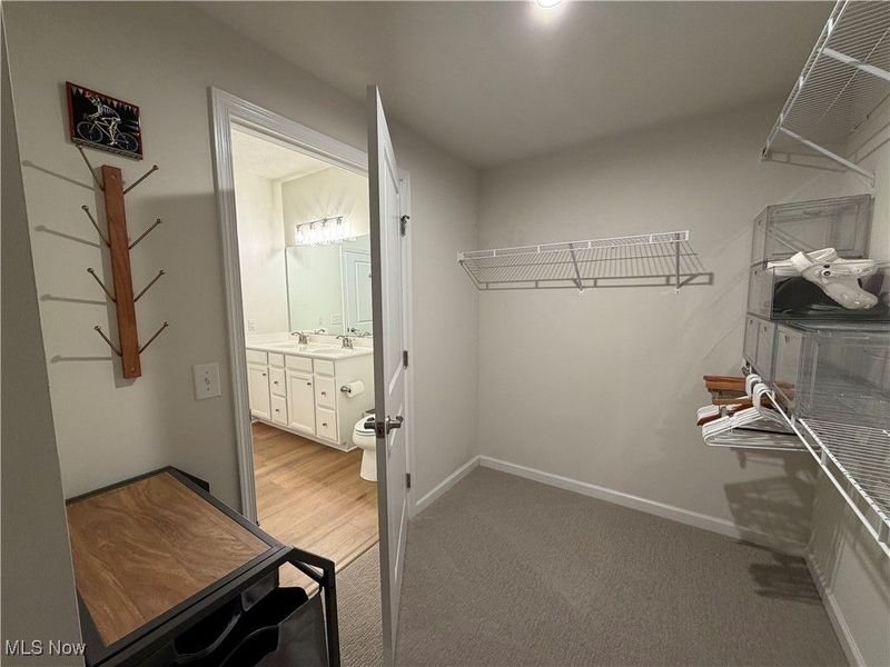 732 Buckeye Drive, Akron, OH 44303 Photo 29