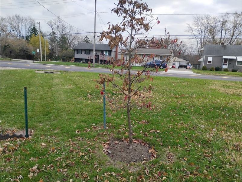 950 W River Road, Elyria, OH 44035 Photo 2