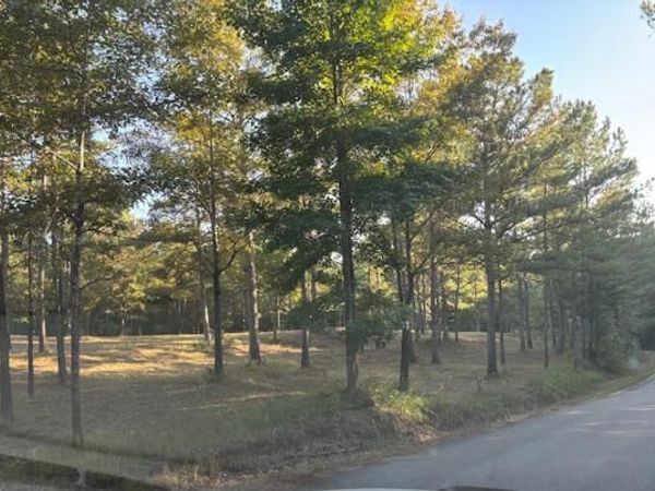 88 CR 32, Dennis, MS 38838