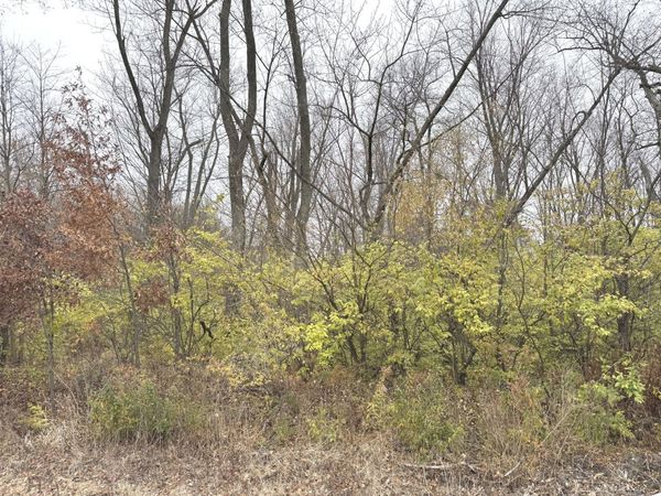 4047 Foxwood Drive, Kankakee, IL 60901