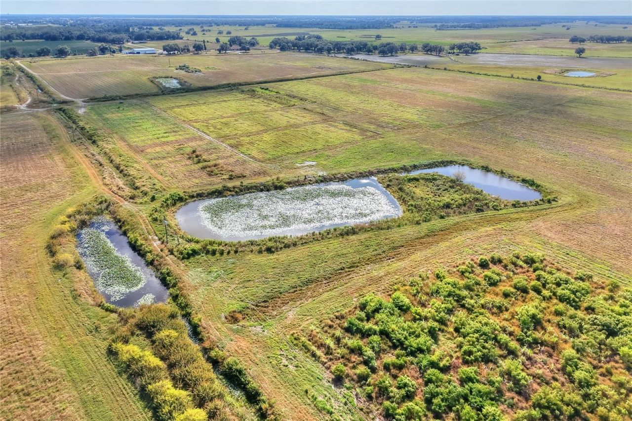 6018 NW County Road 661a, Arcadia, FL 34266 Photo