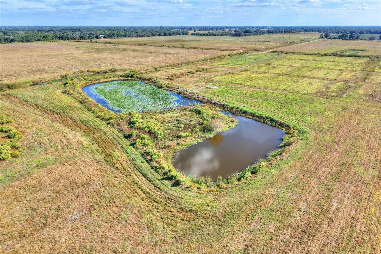 6018 NW County Road 661a, Arcadia, FL 34266 Photo