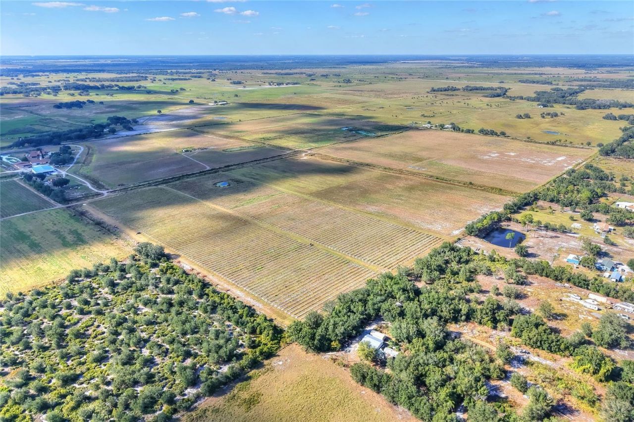 6018 NW County Road 661a, Arcadia, FL 34266 Photo