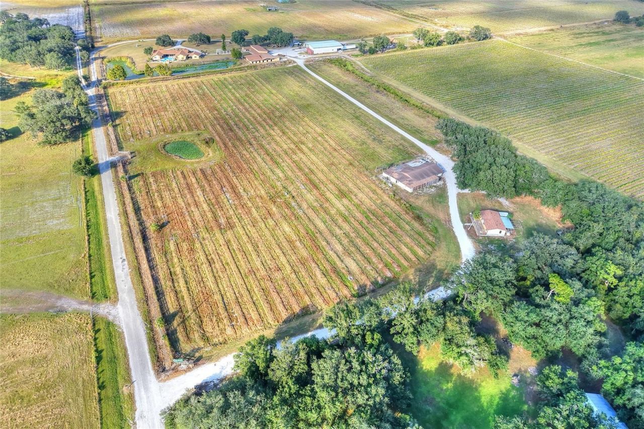 6018 NW County Road 661a, Arcadia, FL 34266 Photo