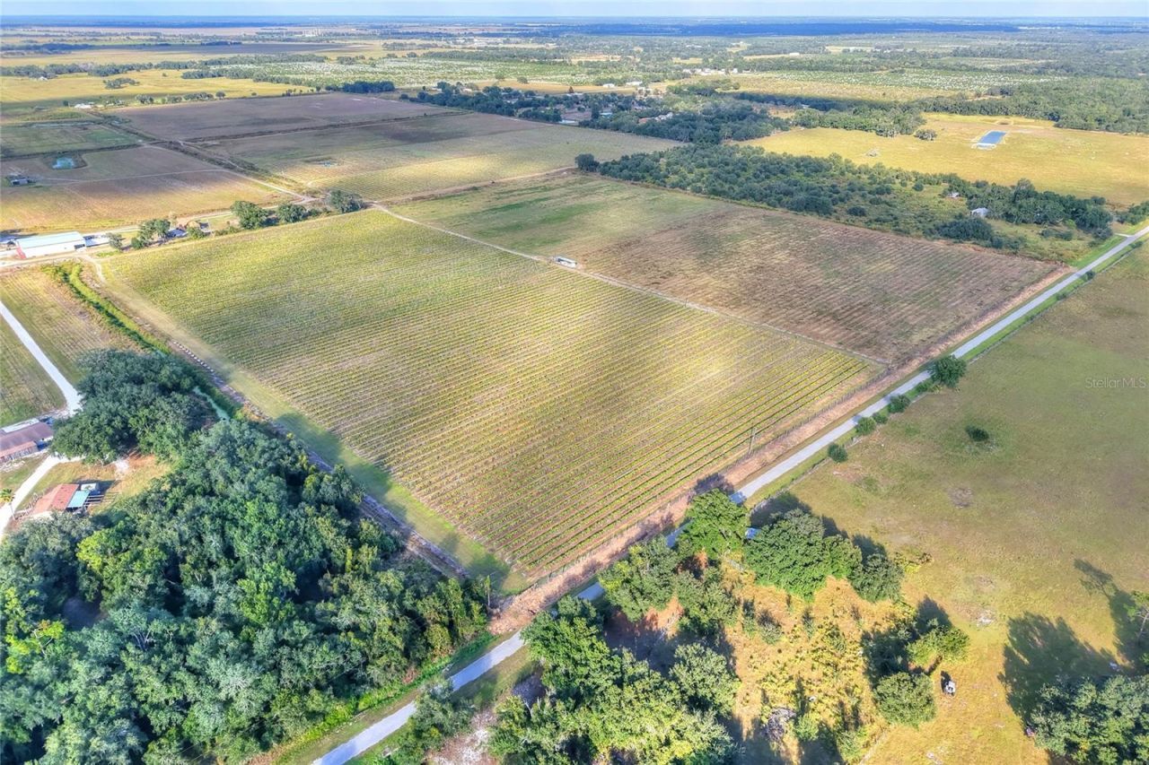 6018 NW County Road 661a, Arcadia, FL 34266 Photo