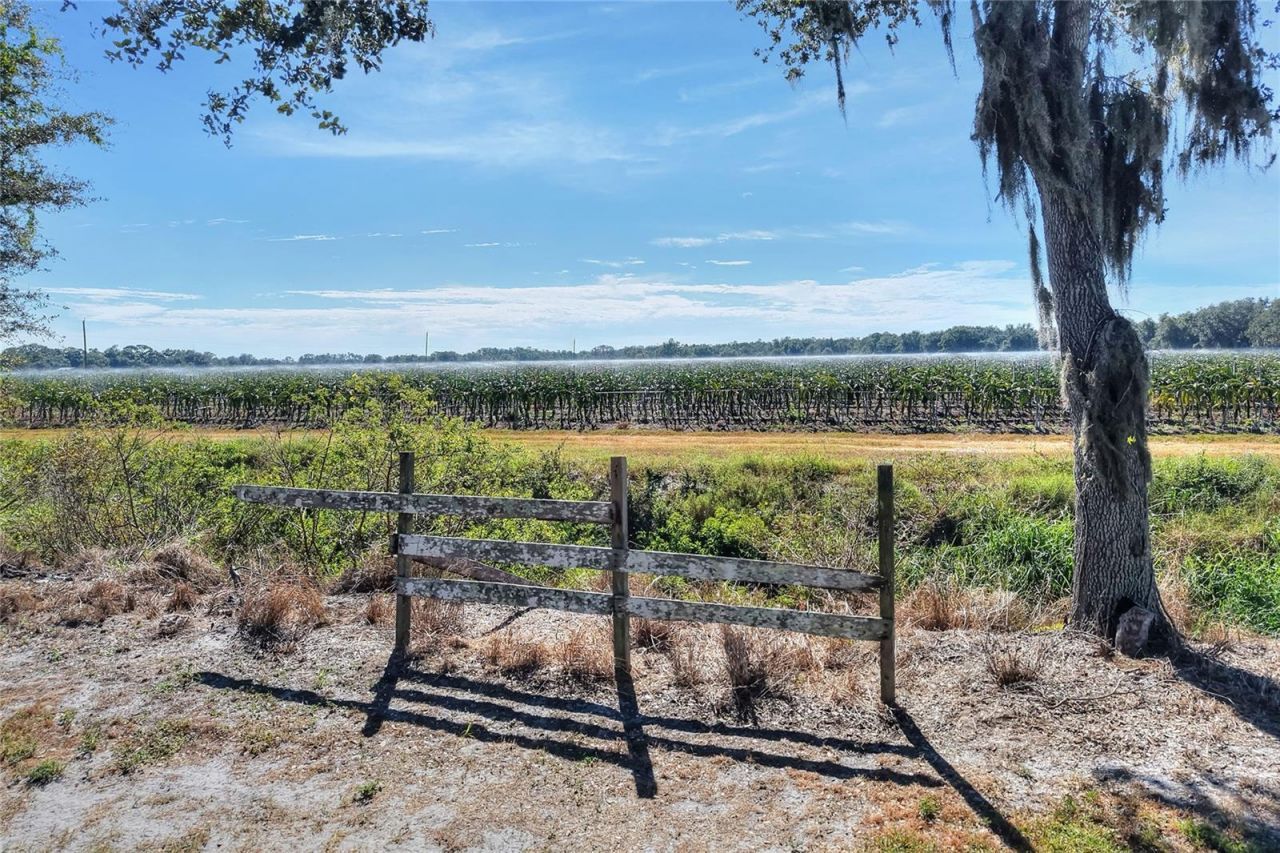6018 NW County Road 661a, Arcadia, FL 34266 Photo