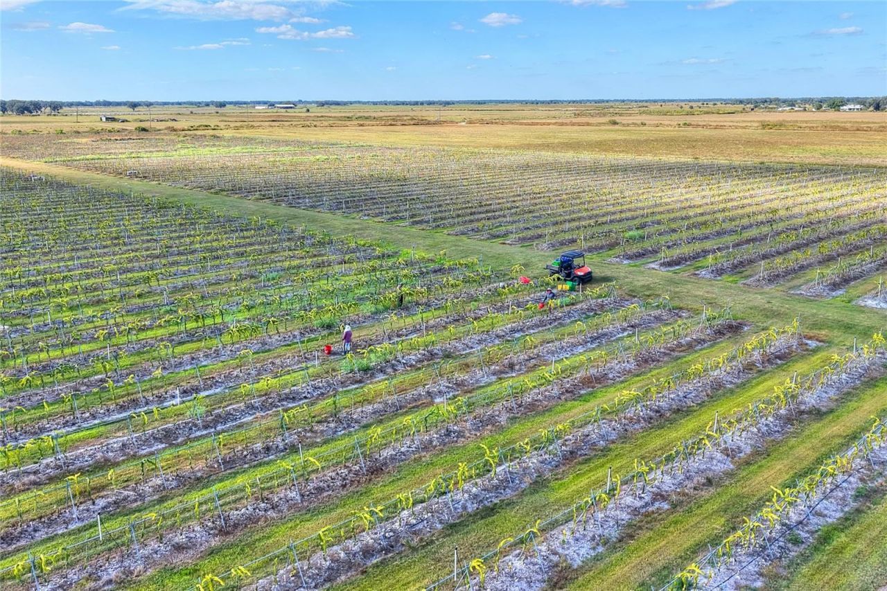 6018 NW County Road 661a, Arcadia, FL 34266 Photo