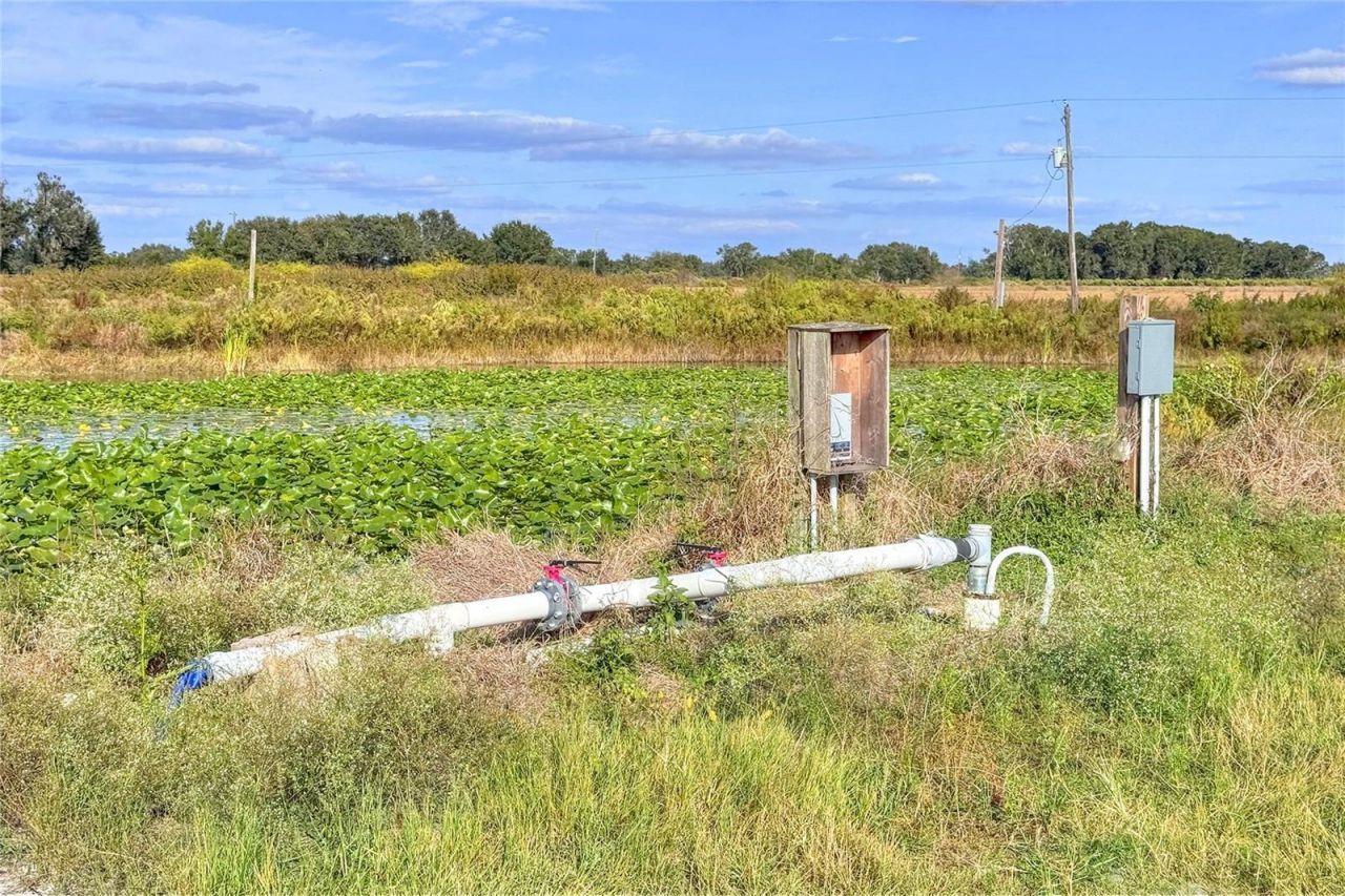 6018 NW County Road 661a, Arcadia, FL 34266 Photo