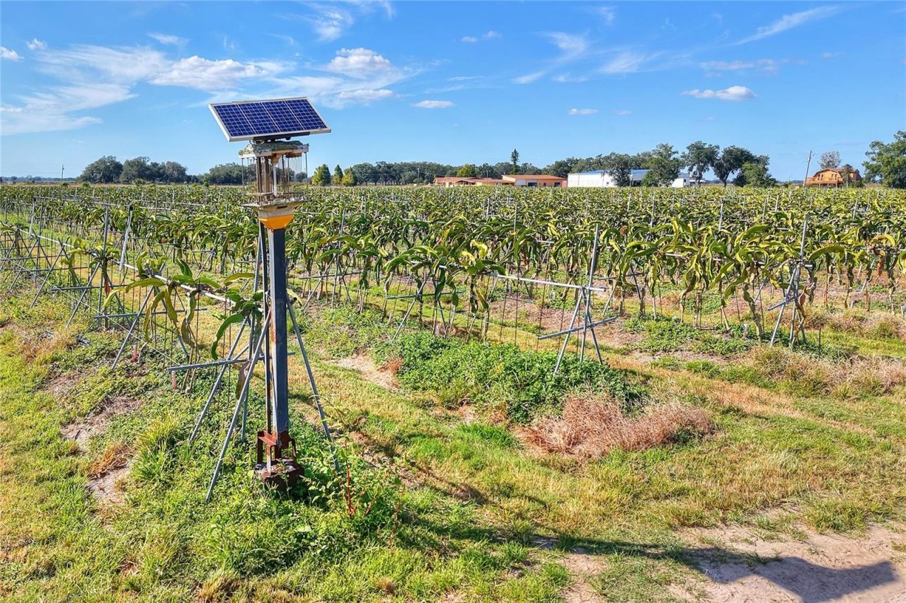 6018 NW County Road 661a, Arcadia, FL 34266 Photo