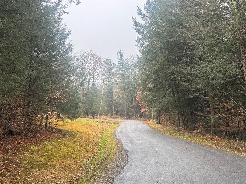 Thorpe Hill Road, Sidney, NY 13838 Main Photo