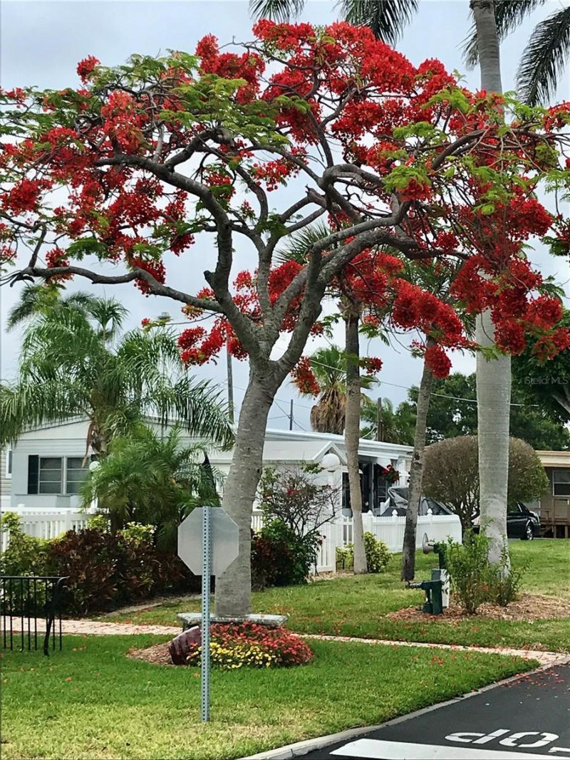 3710 Gulf Of Mexico Drive, Lot #G12, Longboat Key, FL 34228 Photo