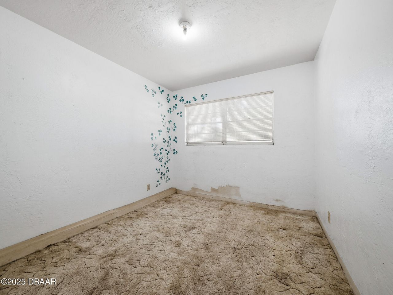 813 E 8th Avenue, New Smyrna Beach, FL 32169 Photo