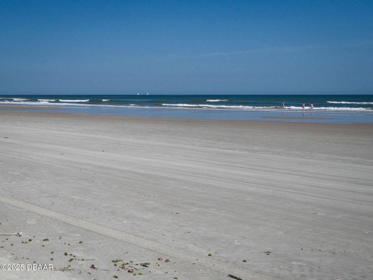 813 E 8th Avenue, New Smyrna Beach, FL 32169 Photo