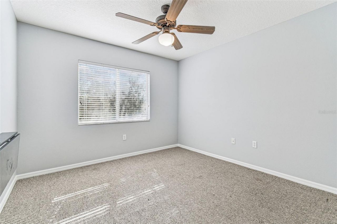 395 Wingate Circle, Oldsmar, FL 34677 Photo