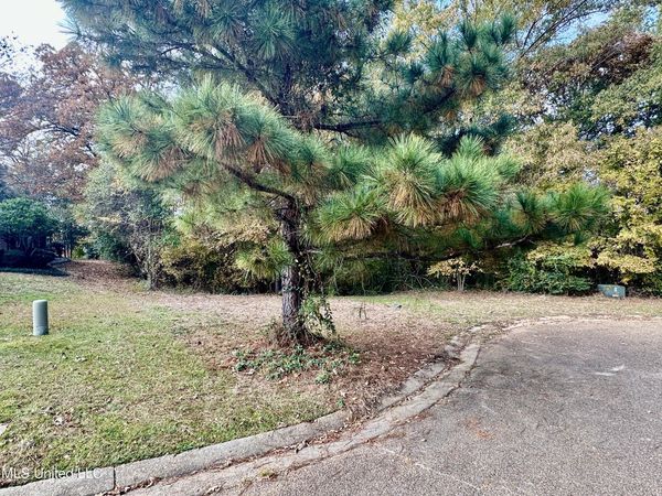 0 Ashton Place, Clinton, MS 39056