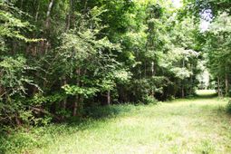 0 Kitfield Road photo 4