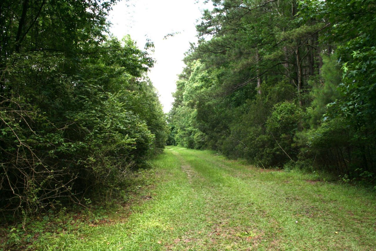 0 Kitfield Road Photo 6