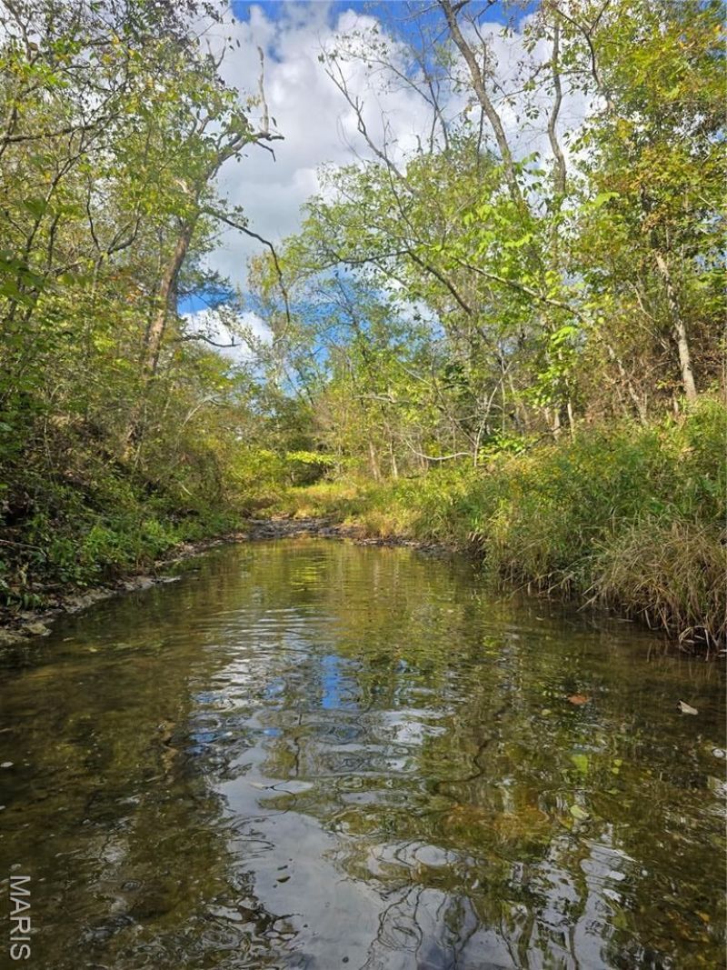 30 Acres Highway E, Cadet, MO 63630 Main Photo