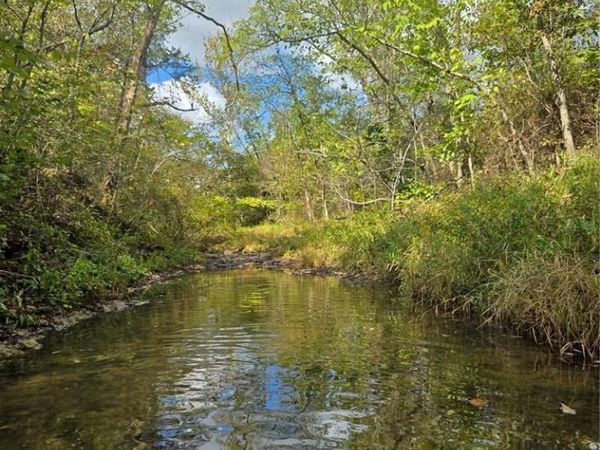 30 Acres Highway E, Cadet, MO 63630