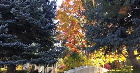 3678 Brighton Way, Reno, NV 89509 Photo