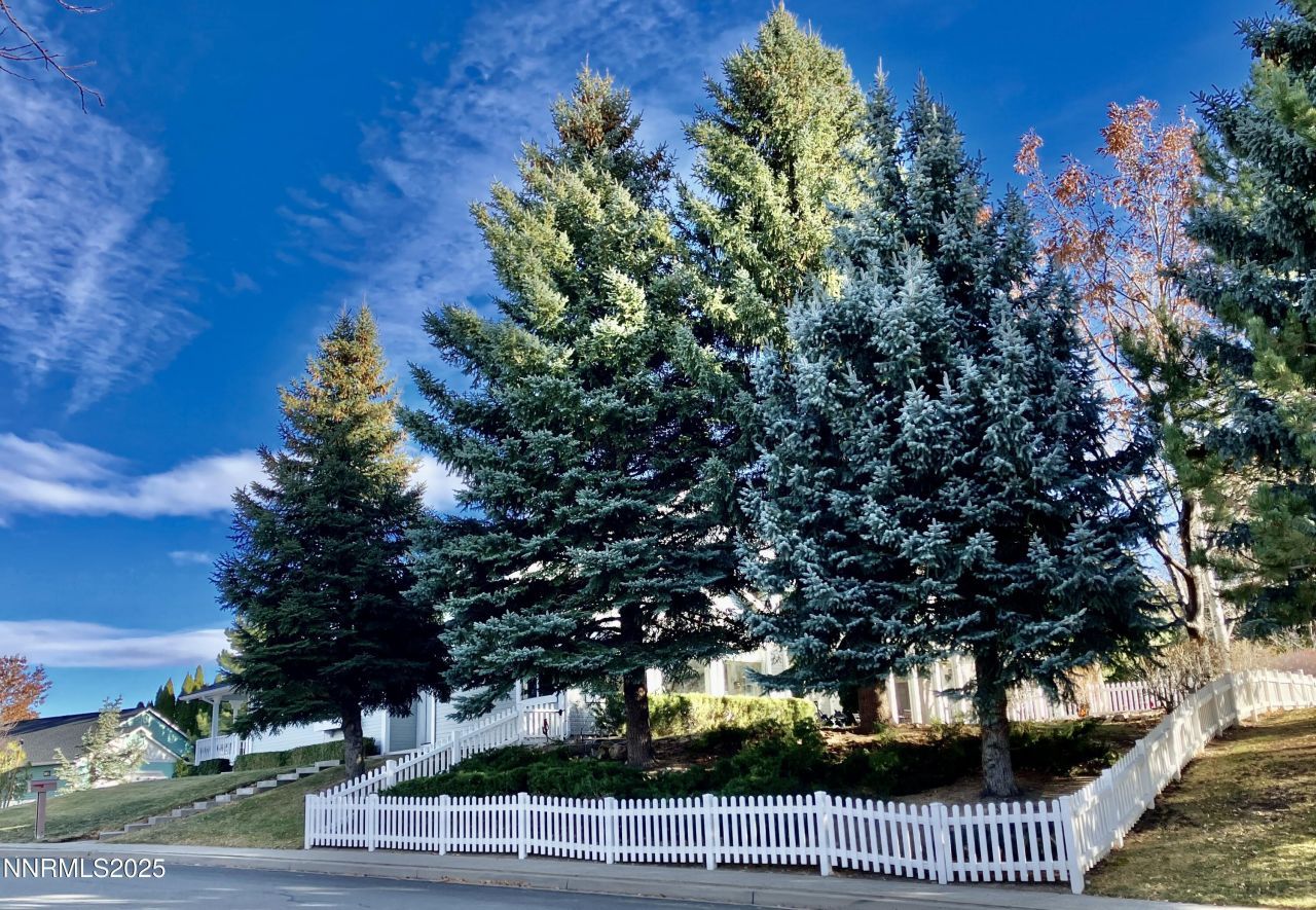 3678 Brighton Way, Reno, NV 89509 Photo