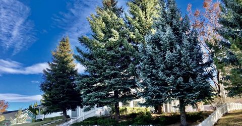 3678 Brighton Way, Reno, NV 89509 Photo