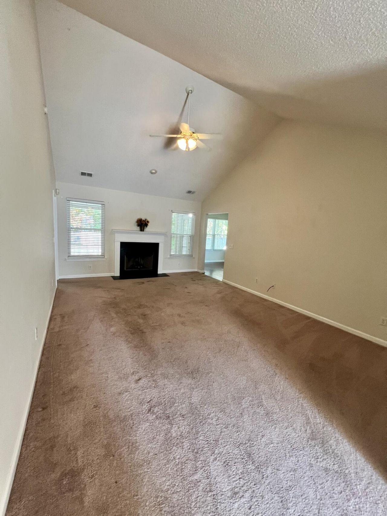 223 Everwood Court Photo 2