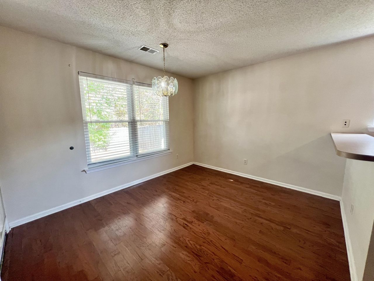 223 Everwood Court Photo 3