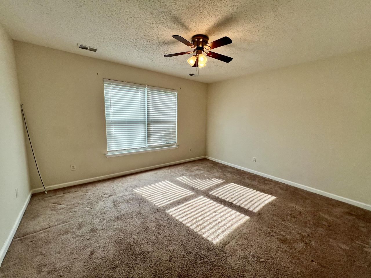 223 Everwood Court Photo 9