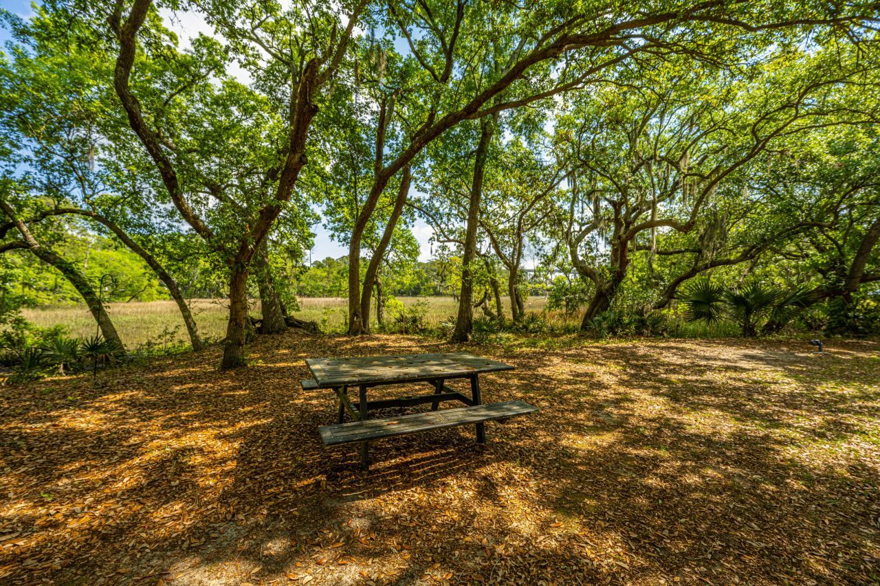 130 River Landing Drive Photo 41