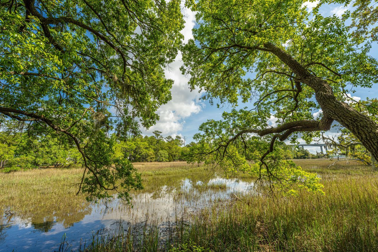 130 River Landing Drive Photo 42