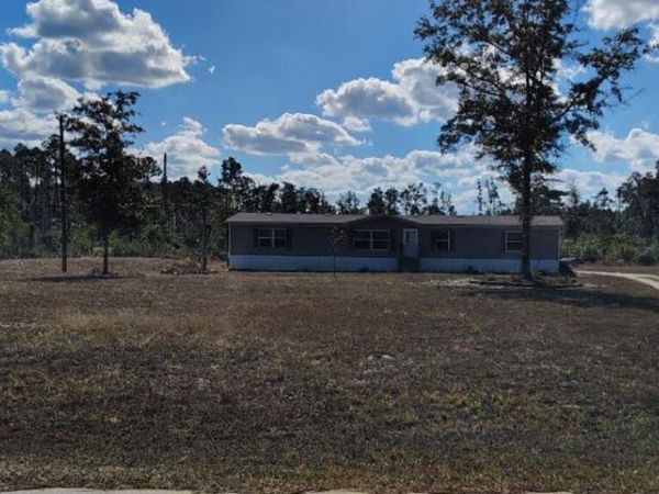 22884 NW Lake Mckinzie Boulevard, Altha, FL 32421