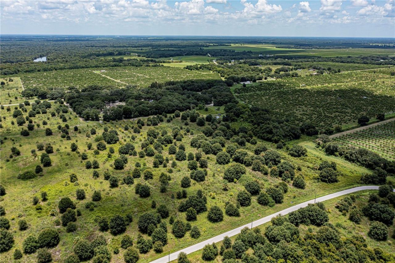 Sw Hull Avenue, Arcadia, FL 34269 Photo