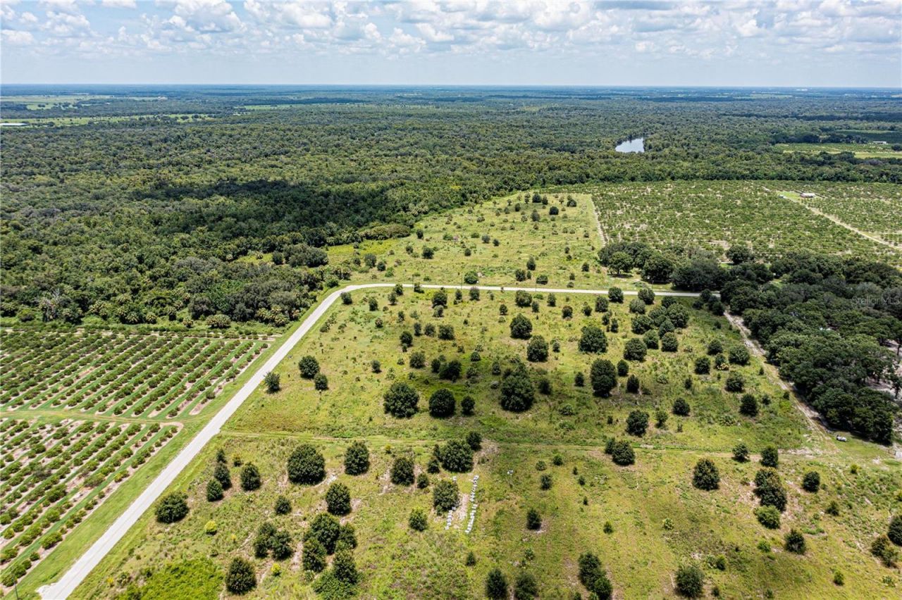 Sw Hull Avenue, Arcadia, FL 34269 Photo