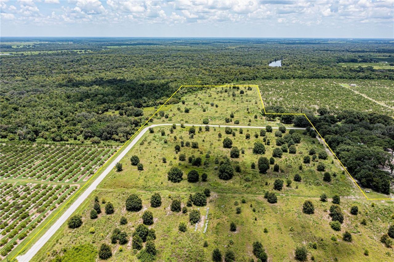 Sw Hull Avenue, Arcadia, FL 34269 Photo