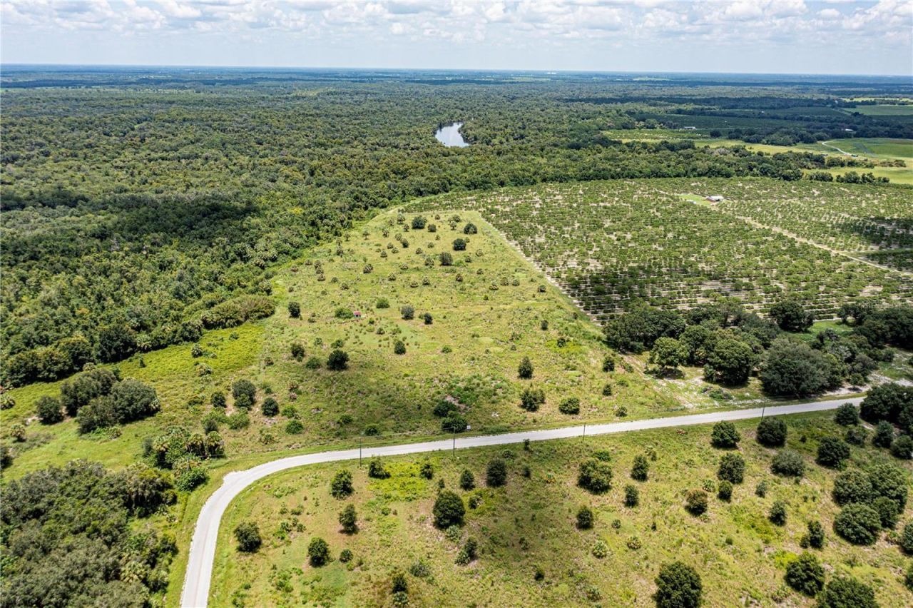 Sw Hull Avenue, Arcadia, FL 34269 Photo