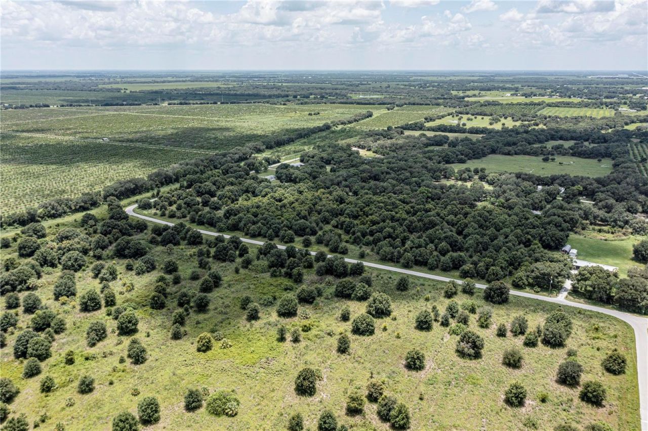 Sw Hull Avenue, Arcadia, FL 34269 Photo