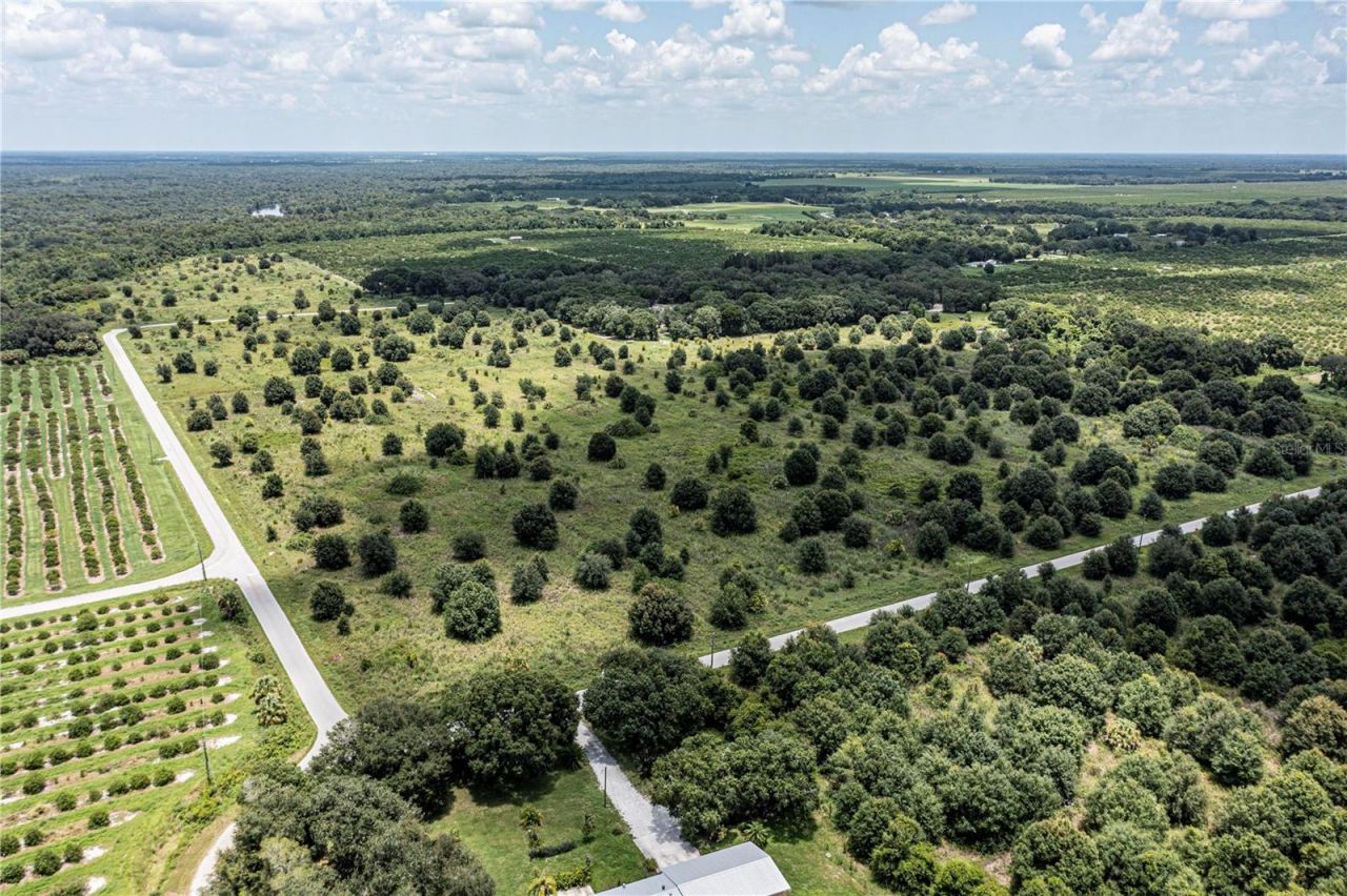 Sw Hull Avenue, Arcadia, FL 34269 Photo