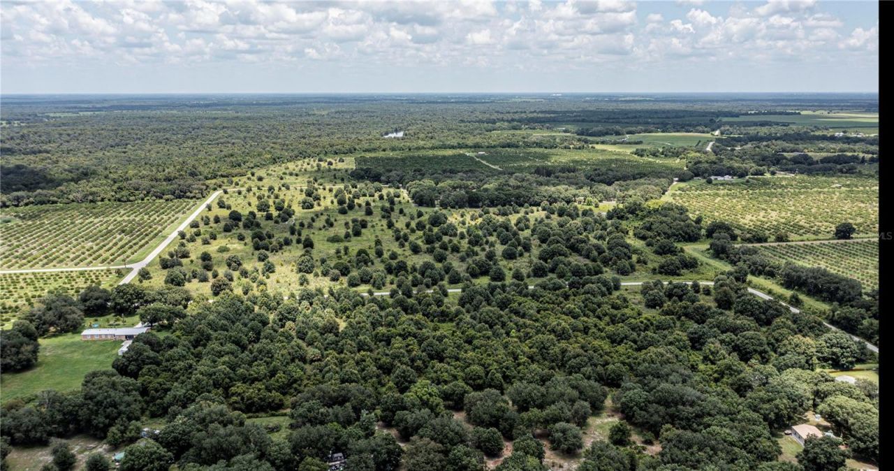 Sw Hull Avenue, Arcadia, FL 34269 Photo