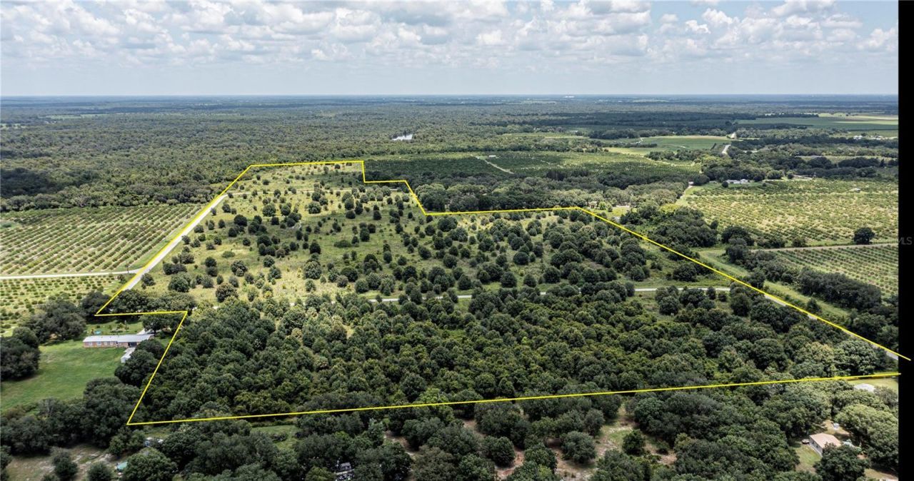 Sw Hull Avenue, Arcadia, FL 34269 Photo