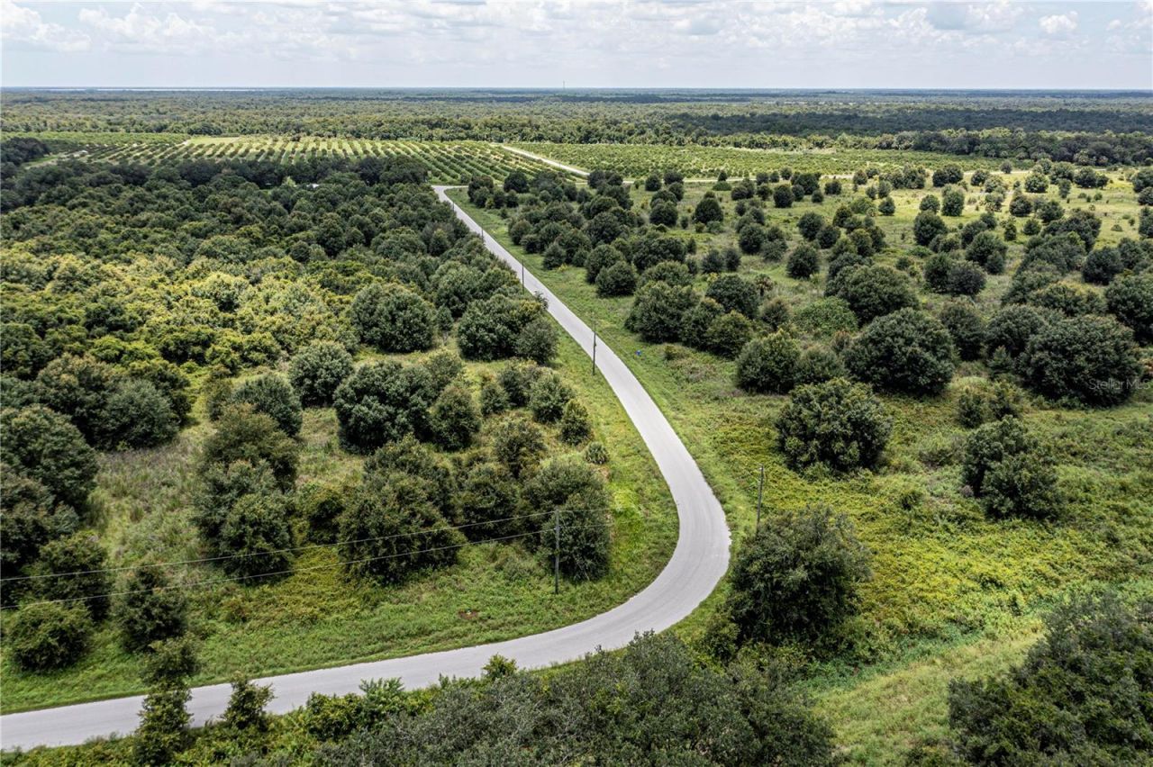 Sw Hull Avenue, Arcadia, FL 34269 Photo