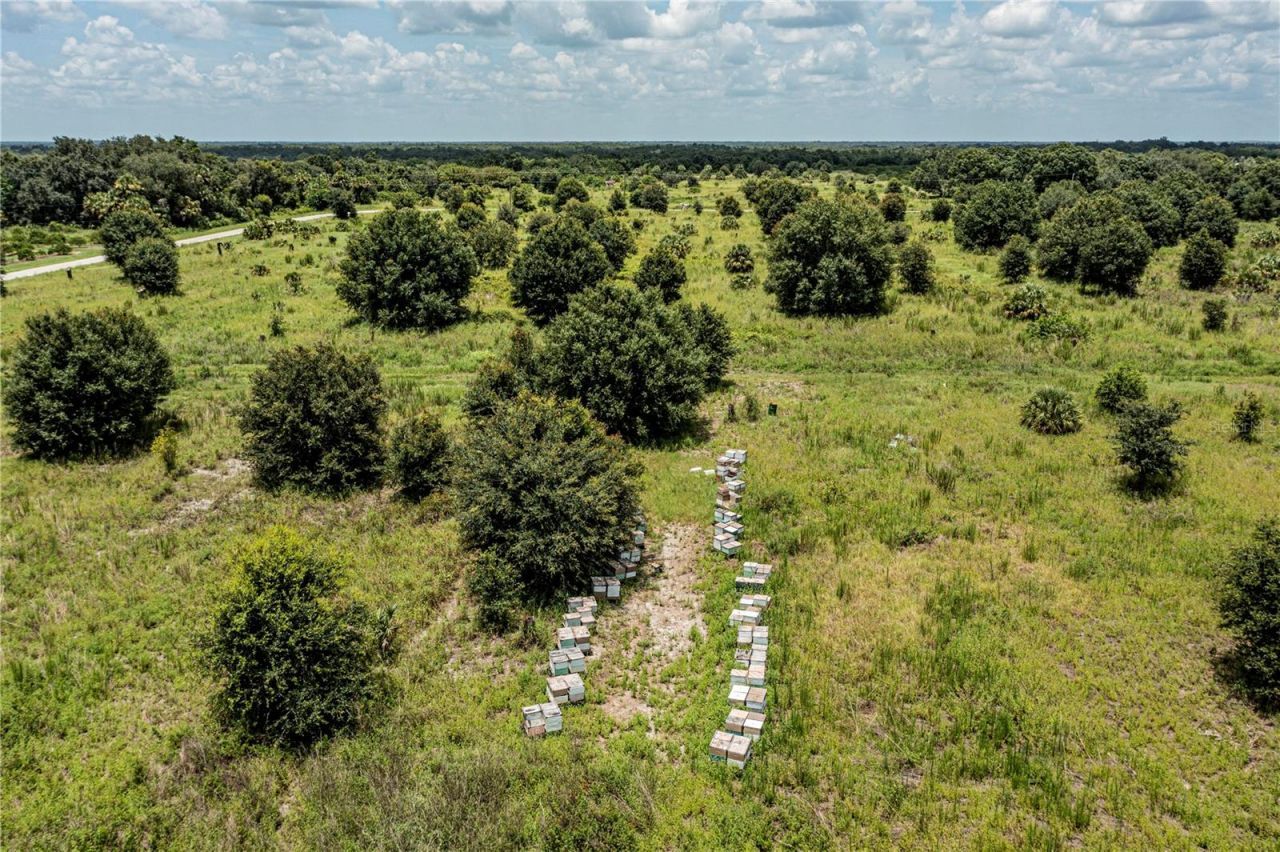 Sw Hull Avenue, Arcadia, FL 34269 Photo