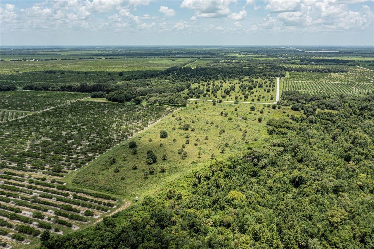 Sw Hull Avenue, Arcadia, FL 34269 Photo