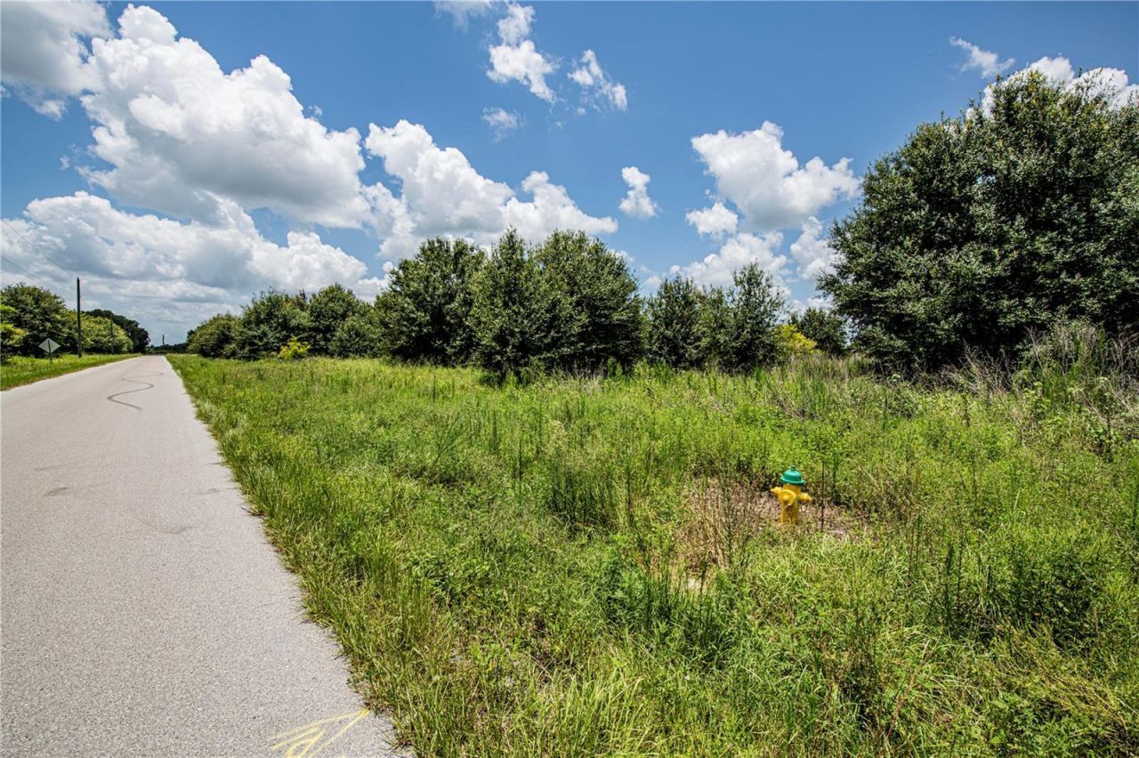 Sw Hull Avenue, Arcadia, FL 34269 Photo