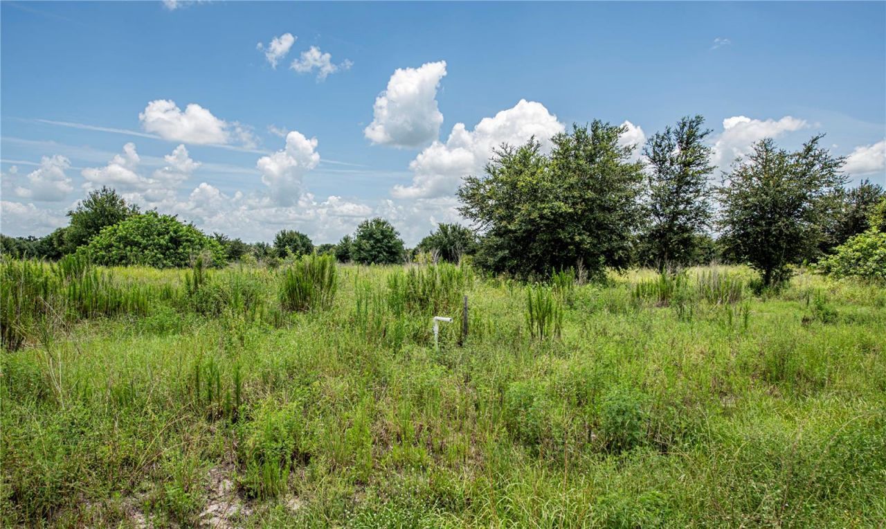 Sw Hull Avenue, Arcadia, FL 34269 Photo