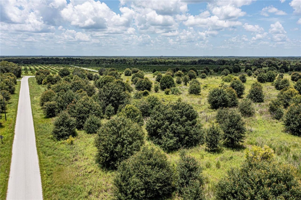 Sw Hull Avenue, Arcadia, FL 34269 Photo