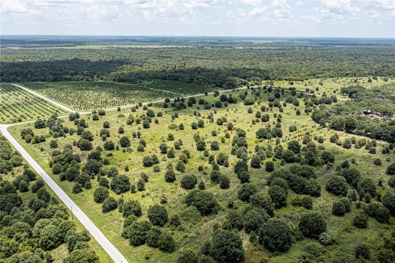 Sw Hull Avenue, Arcadia, FL 34269 Photo