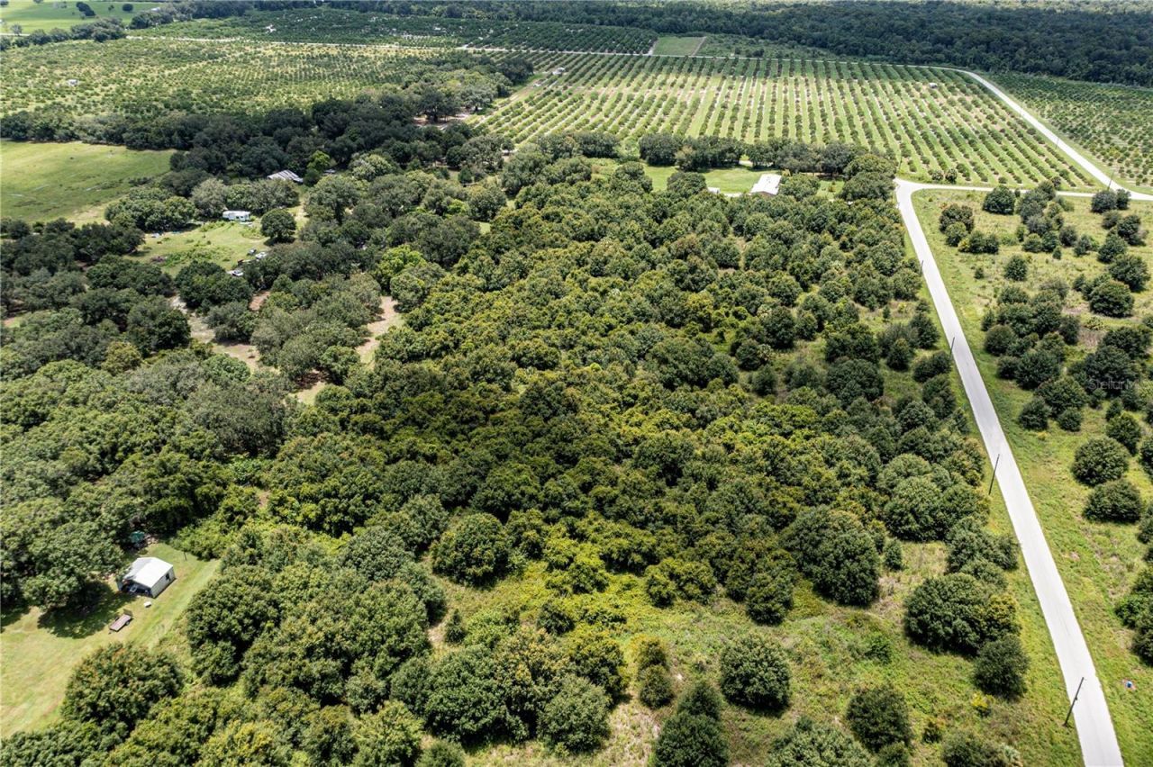 Sw Hull Avenue, Arcadia, FL 34269 Photo